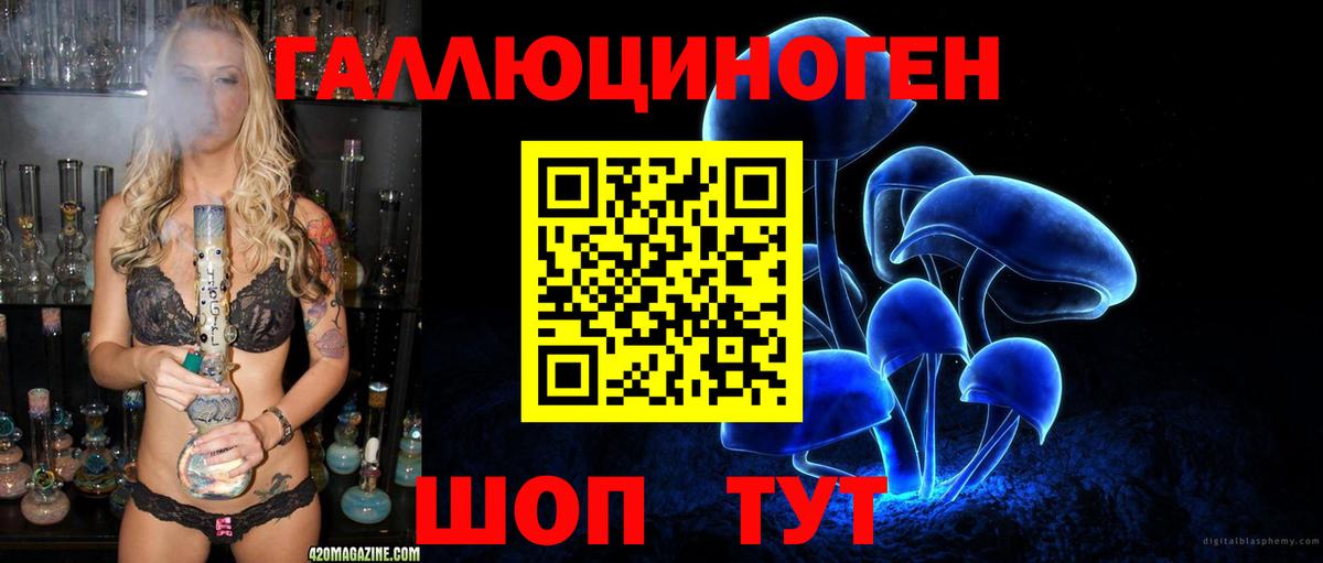 Галлюциногенные грибы MAGIC MUSHROOMS  Вход с VPN  Кашира 