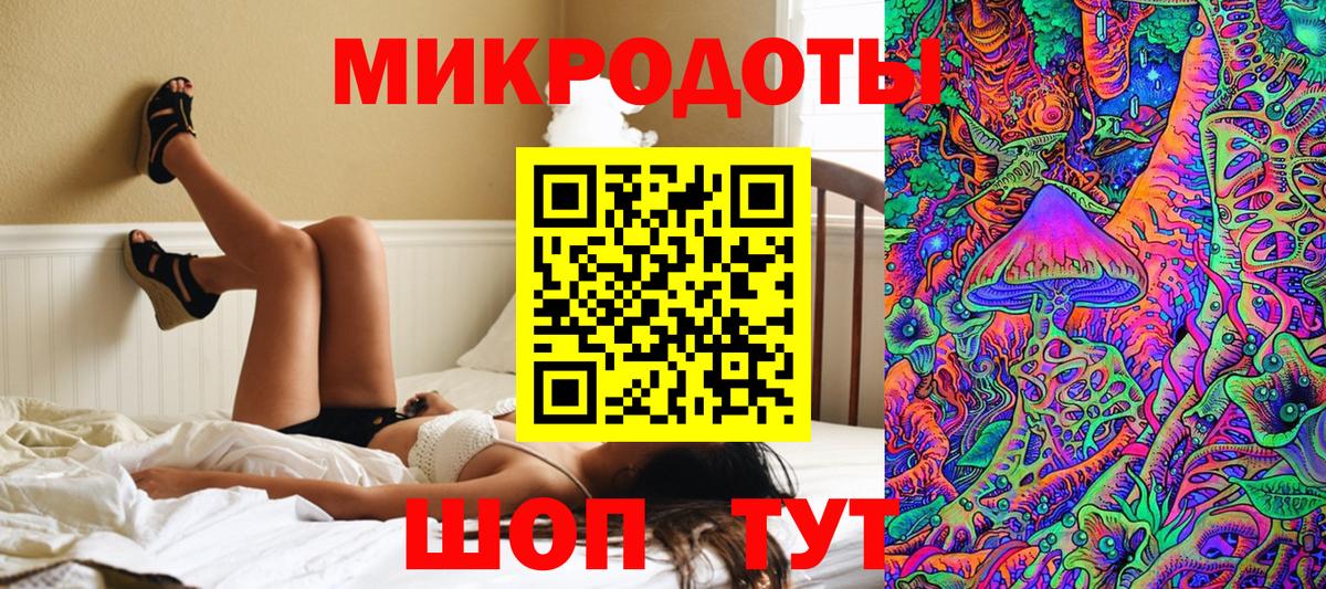 Галлюциногенные грибы Cubensis Кашира